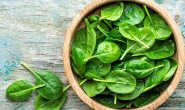 Bài thuốc đơn giản chữa táo bón, mụn nhọt từ rau mồng tơi