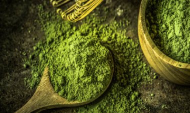 Hóa ra thực phẩm điều trị ung thư này lại có nhiều ở Việt Nam đến vậy