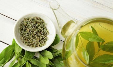 Trà xanh - “lá chắn” tuyệt vời bảo vệ sức khỏe