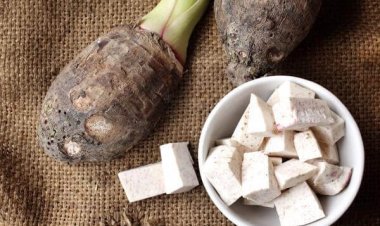 Ăn khoai môn có tốt cho bà bầu?