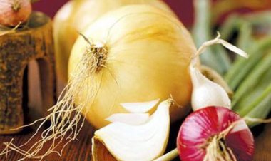 Hành tây có thể hút hết vi khuẩn có hại tấn công cơ thể
