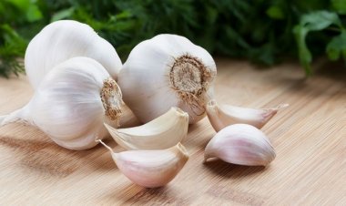 Những thực phẩm giúp khử mùi tỏi hiệu quả