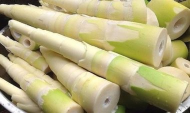 Mẹo hay khử mọi độc tố trong măng nhanh chóng mà đơn giản không ngờ