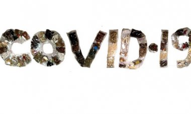 Một số dược liệu, vị thuốc cổ truyền và cây thuốc trong phòng, chống bệnh viêm đường hô hấp cấp do Sars-CoV-2