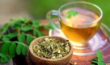 Uống trà chùm ngây mỗi ngày tốt như "nhân sâm", kiểm soát huyết áp và ngừa bệnh tim mạch hiệu quả