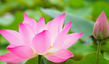 Phật dạy: 7 cách tích đức cải tạo vận thế mà ai cũng làm được