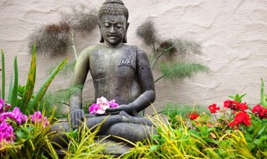 Chỉ khi tích đủ 4 điều quý giá này thì cuộc đời của bạn mới giàu