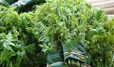 4 loại rau "trường thọ" được cổ nhân đánh giá cao, loại số 3 mọc dại đầy đường