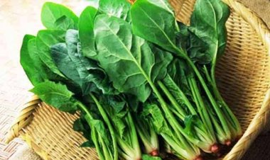 Ăn rau cải ngon đến mấy cũng phải biết điều này kẻo 'đón" bệnh tật vào người mà không biết