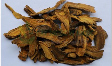 ĐẠI HOÀNG (Rhizoma Rhei)