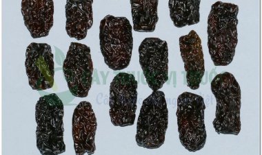 ĐẠI TÁO (Fructus Ziziphi jujubae)