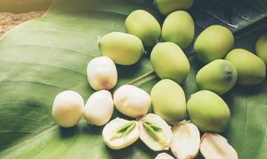 7 loại thực phẩm trị chứng mất ngủ cực kỳ hiệu quả