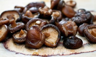 Nguyên tắc dinh dưỡng “ăn ít 3 trắng, ăn nhiều 3 đen” ai cũng cần biết để luôn khoẻ mạnh