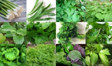 4 loại rau thơm khiến tử cung co bóp và thai nhi đau đớn mẹ không nên ăn