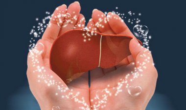 Ba ngọt hại gan nên ăn ít, hai đắng dưỡng gan nên ăn nhiều