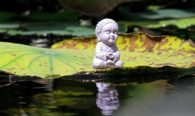 Hiểu rõ lời Phật dạy để lúc khó khăn nhất vẫn bình thản giữa đời