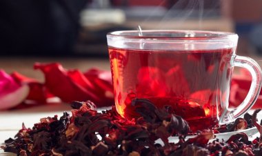 Công dụng tuyệt vời của hoa atiso đỏ đối với sức khỏe con người