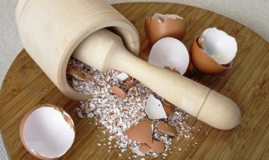 Biết 10 công dụng thần kỳ của vỏ trứng, bạn sẽ không bao giờ vứt chúng vào thùng rác