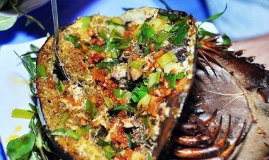 Những món ăn độc có thể gây chết người