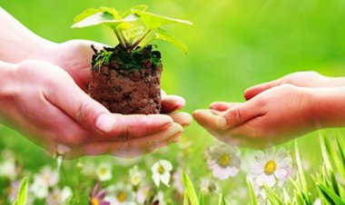 3 việc càng làm càng tạo phúc, tưởng đơn giản mà không phải ai cũng làm được