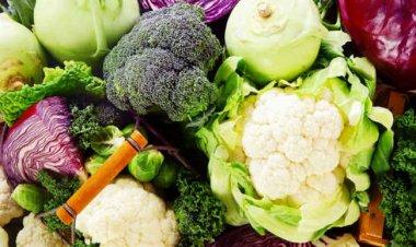 Loại thực phẩm nào ngăn ngừa sự hình thành các tế bào ung thư?