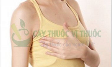 Chuyên gia ung thư cảnh cảo những dấu hiệu cảnh báo sớm ung thư vú thường bị bỏ qua