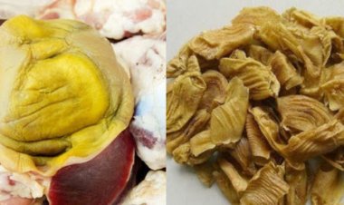 Đây là nguyên nhân vì sao màng mề gà được xem là đông trùng hạ thảo