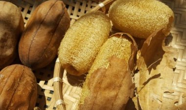 Kinh ngạc thứ hay dùng để rửa bát lại là vị thuốc cần thiết cho rất nhiều người