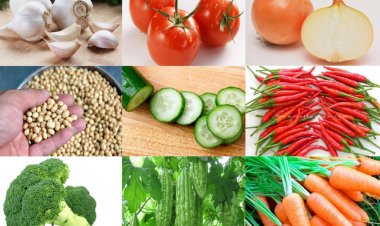 Ăn gì để ngừa biến chứng do rối loạn lipid máu?