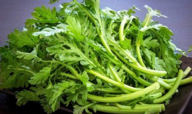 Ăn rau cải cúc giúp bạn chữa được nhiều bệnh