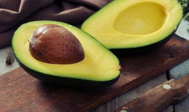 Hạt bơ cực tốt cho sức khỏe bạn không nên bỏ đi