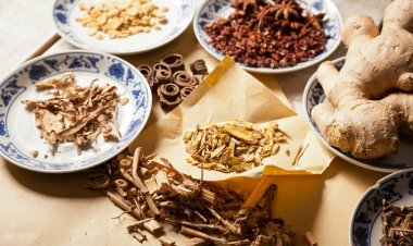 Những bài thuốc trị rụng tóc