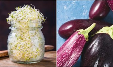 5 thực phẩm có chứa solanine ăn tái gây hoa mắt, buồn nôn, càng nấu chín kỹ càng bổ dưỡng