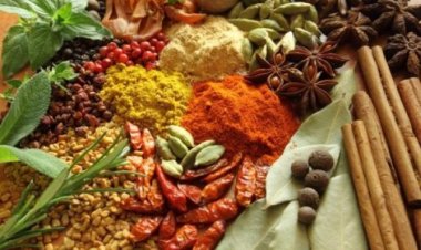 5 loại “kháng sinh tự nhiên” nên có sẵn trong nhà