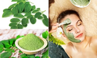 Lợi ích tuyệt vời của chùm ngây đối với làn da