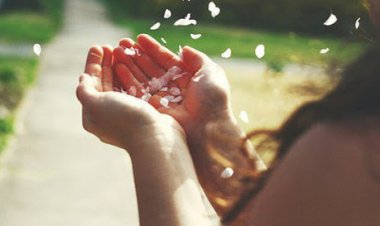 Lắng nghe lời Phật dạy về 4 nỗi khổ lớn nhất đời người, ai cũng nên biết để vượt qua