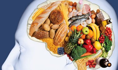 Dinh dưỡng ảnh hưởng đến não như thế nào?