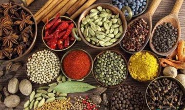 Bài thuốc phòng trị nóng trong người