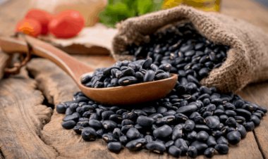 Đậu đen – thuốc quý trị nhiều bệnh