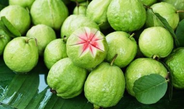 Những sai lầm nghiêm trọng khi ăn ổi cần bỏ ngay kẻo rước hoạ