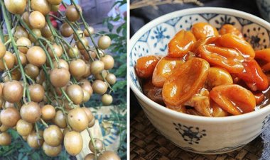 Tác dụng của quất hồng bì với sức khỏe