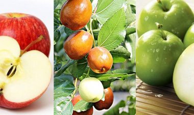 Thực phẩm tốt cho tim mạch bạn nên ăn trong mùa hè