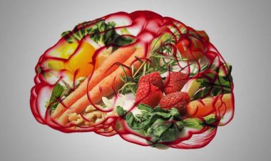 Thực phẩm tăng cường trí nhớ hiệu quả mà bạn nên biết