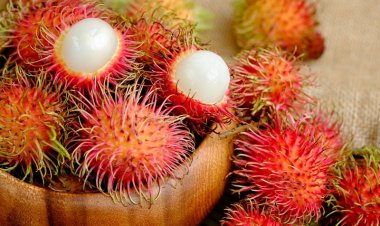 Ăn chôm chôm có tác dụng gì đối với sức khỏe?