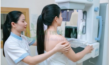 Bệnh ung thư vú nguyên nhân đối tượng thường mắc ung thư vú