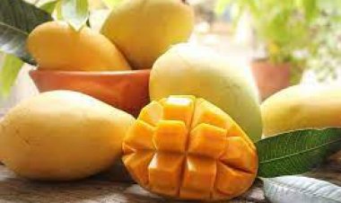 5 lý do tại sao bạn nên ăn xoài hàng ngày