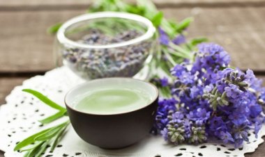 Loại trà uống giúp bạn ngủ ngon