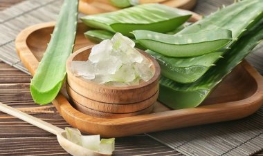 Lợi ích tuyệt vời của lô hội cho làn da đẹp