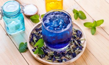 Giảm cân bằng trà hoa đậu biếc