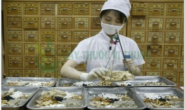 Tăng cường phòng, chống bệnh viêm đường hô hấp cấp do SARS-Cov-2 bằng thuốc và các phương pháp Y Học Cổ Truyền